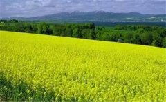 怎么用空氣負(fù)氧離子監(jiān)測(cè)系統(tǒng)？